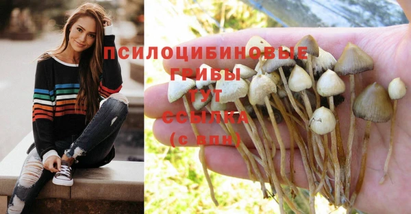 прущая мука Корсаков