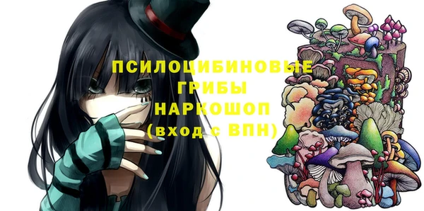 дживик Абаза