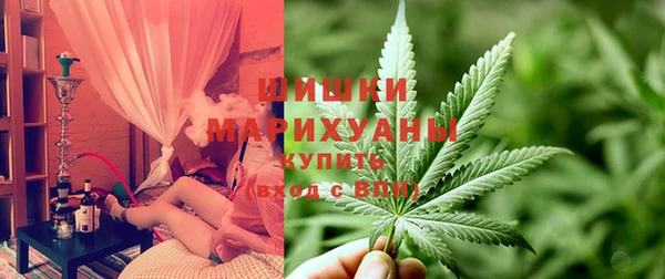 дживик Абаза