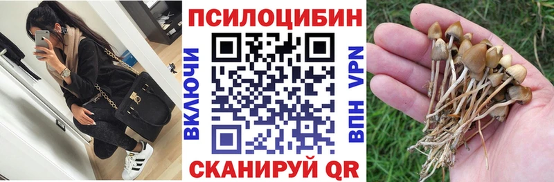 закладка  Рыльск  это Telegram  Галлюциногенные грибы мицелий  ссылка на мегу как войти 